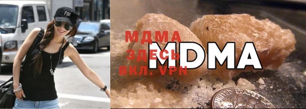индика Белокуриха