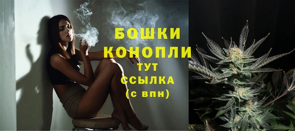 ГАЛЛЮЦИНОГЕННЫЕ ГРИБЫ Богородицк