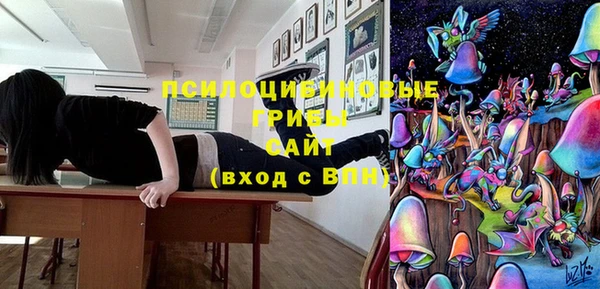 первитин Богородск