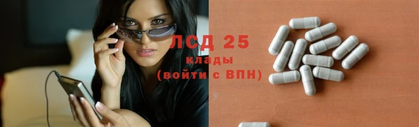 индика Белокуриха