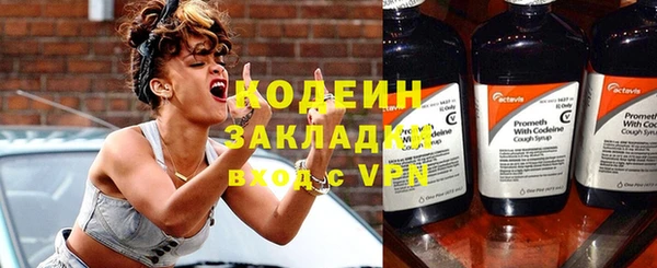 ПСИЛОЦИБИНОВЫЕ ГРИБЫ Богданович