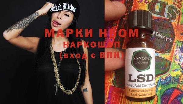ПСИЛОЦИБИНОВЫЕ ГРИБЫ Богданович