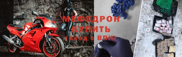 индика Белокуриха