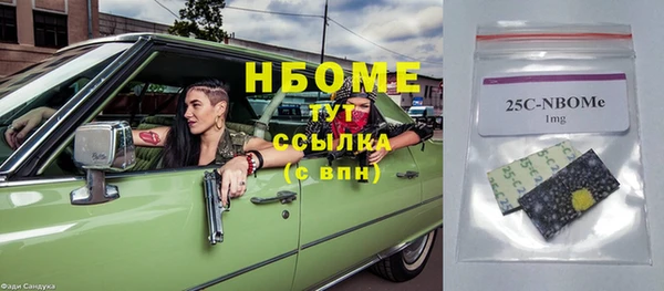 ПСИЛОЦИБИНОВЫЕ ГРИБЫ Богданович