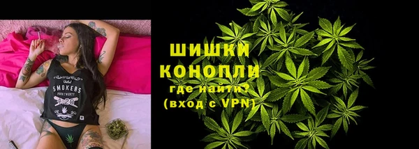 индика Белокуриха